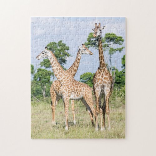 Maasai Giraffe Jigsaw Puzzle