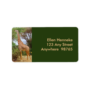 Maasai Giraffe Label
