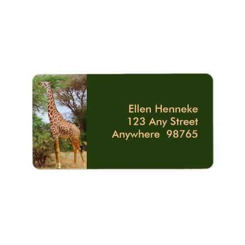 Maasai Giraffe Label