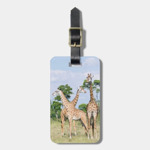 Maasai Giraffe Luggage Tag