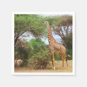 Maasai Giraffe Paper Napkins