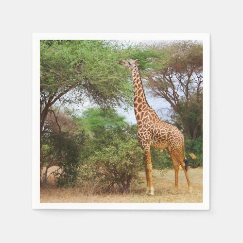 Maasai Giraffe Paper Napkins
