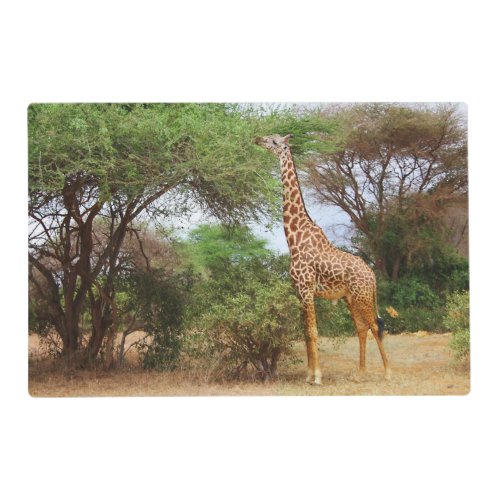 Maasai Giraffe Placemat