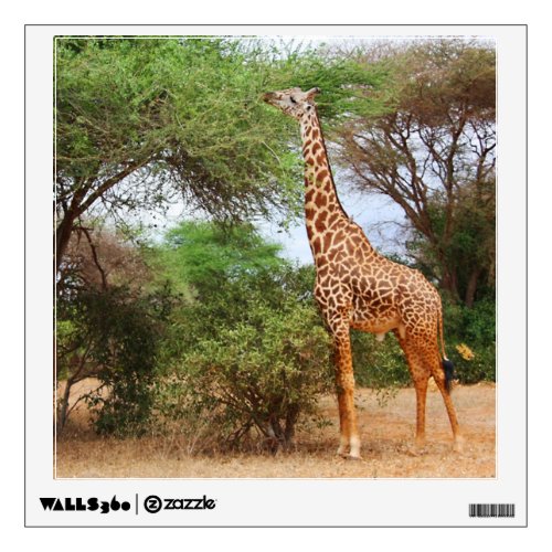 Maasai Giraffe Wall Decal