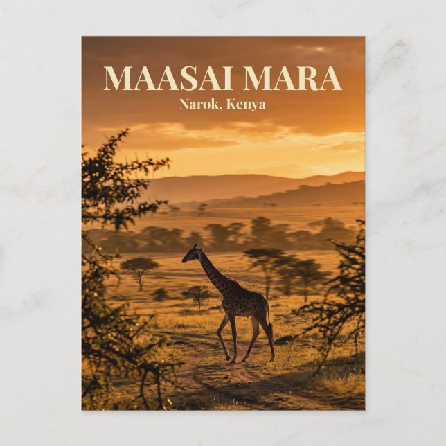 Maasai Mara, Narok, Narok County Postcard (Front)