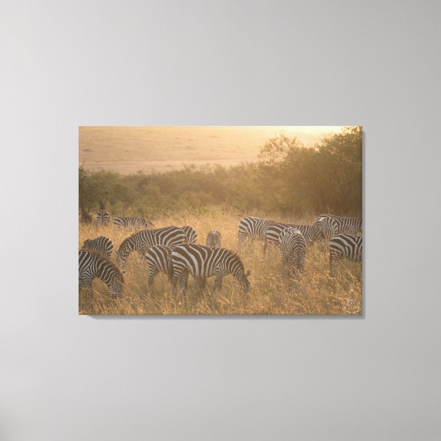 Maasai Morning Zebras Wrapped Canvas Print (Front)