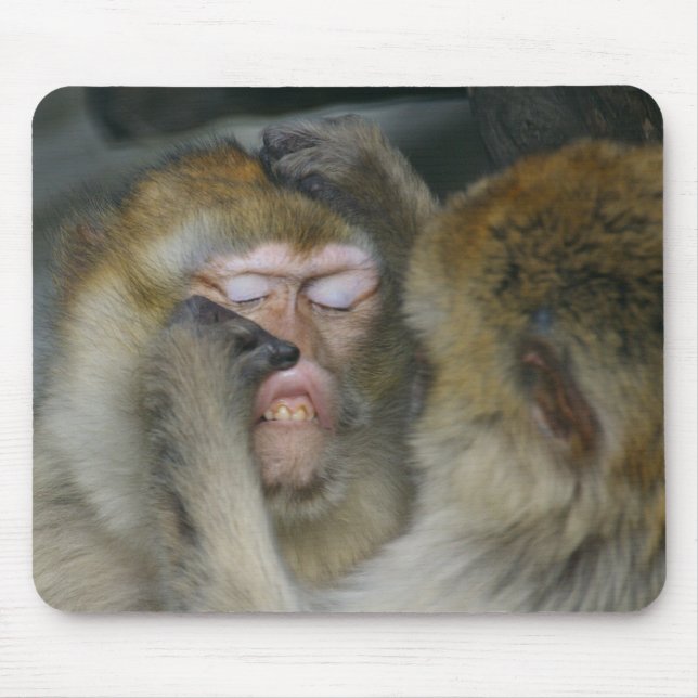 Macaca sylvanus mouse pad (Front)