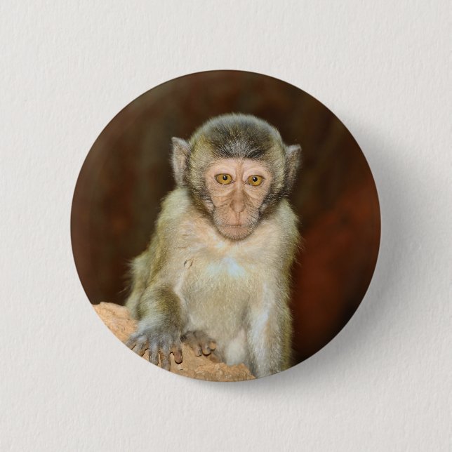 macaque button (Front)