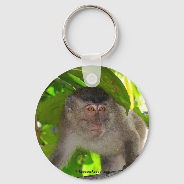 Macaque Monkey in rainforest Keychain (Front)