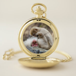 Macaque Monkeys, Close Family Bond Pocket Watch