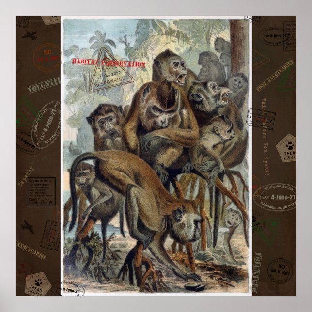 Macaques for Responsible Travel Poster (Front)