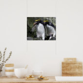 Macaroni Penguins, South Georgia Poster (Kitchen)