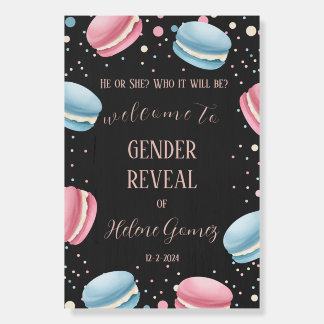 Macarons Gender Reveal Party Welcome Foam board