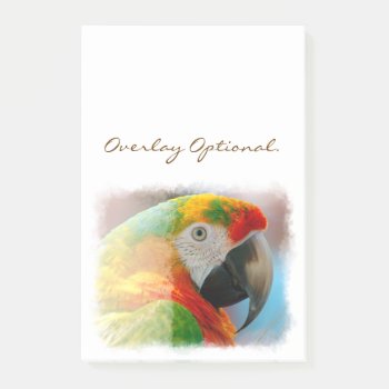 Macaw 1b Post-it Notes by Ronspassionfordesign at Zazzle