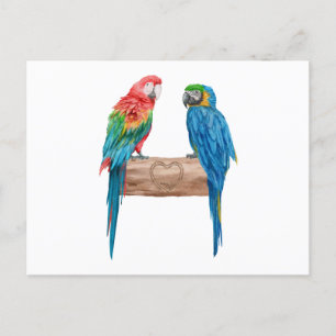Macaw Bird Parrot Lover Watercolor Invitation Postcard