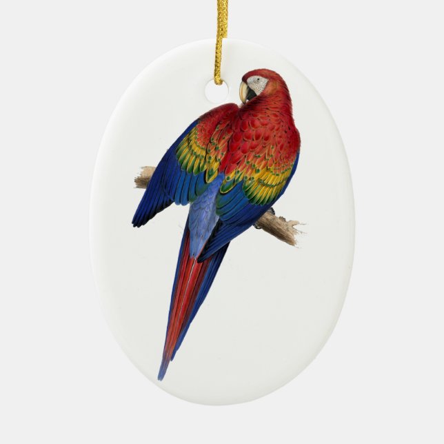 Macaw Bird Parrot Parakeet Ceramic Ornament (Front)