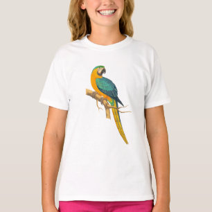 Macaw Bird T-Shirt