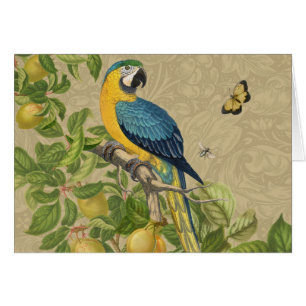 Macaw Blue Yellow Tropical Jungle Antique