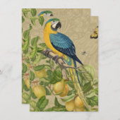 Macaw Blue Yellow Tropical Jungle Antique (Front/Back)