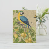 Macaw Blue Yellow Tropical Jungle Antique (Standing Front)
