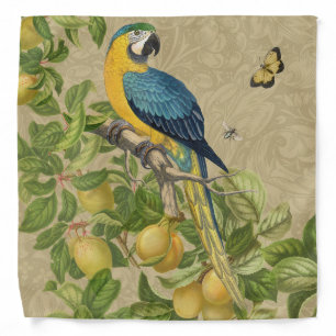 Macaw Blue Yellow Tropical Jungle Antique Bandana