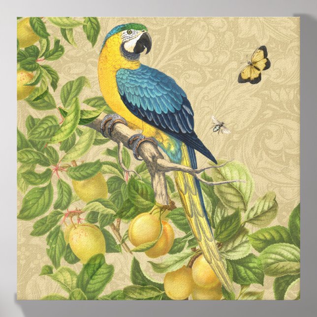 Macaw Blue Yellow Tropical Jungle Antique Canvas Photo Tile (Front Set)