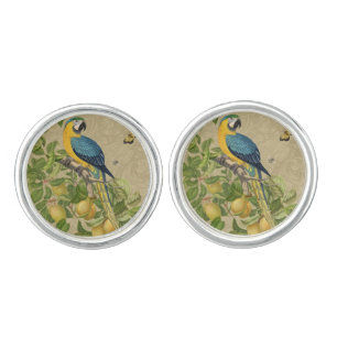 Macaw Blue Yellow Tropical Jungle Antique Cufflinks