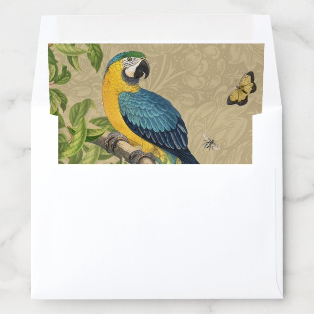 Macaw Blue Yellow Tropical Jungle Antique Envelope Liner (In Envelope)