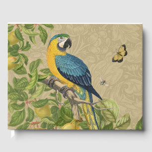 Macaw Blue Yellow Tropical Jungle Antique Guest Book