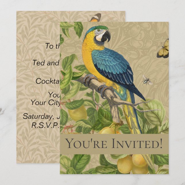 Macaw Blue Yellow Tropical Jungle Antique Invitation (Front/Back)