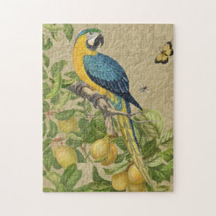 Macaw Blue Yellow Tropical Jungle Antique Jigsaw Puzzle