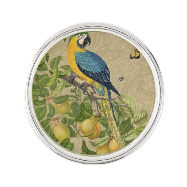 Macaw Blue Yellow Tropical Jungle Antique Lapel Pin (Front)