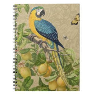 Macaw Blue Yellow Tropical Jungle Antique Notebook