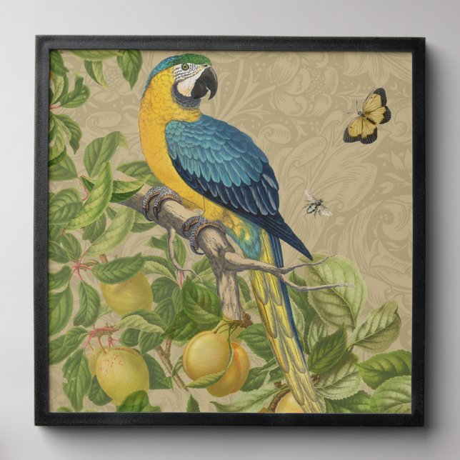 Macaw Blue Yellow Tropical Jungle Antique Peel And Stick Photo Tile (Front Set)