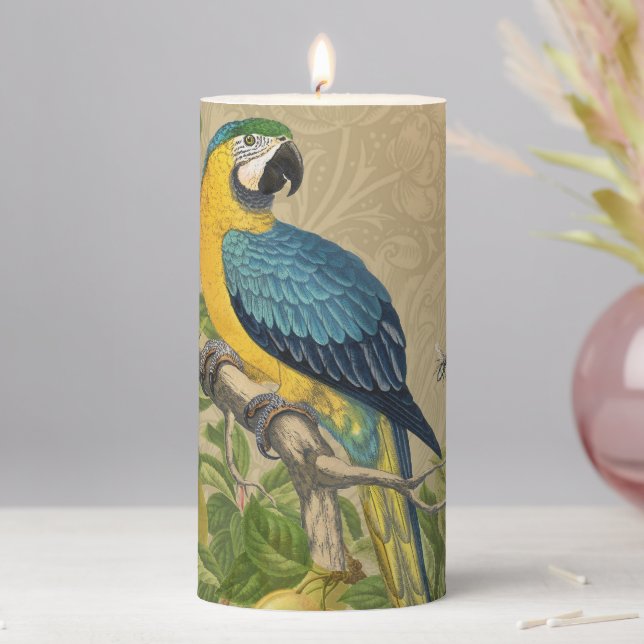 Macaw Blue Yellow Tropical Jungle Antique Pillar Candle (In Situ)