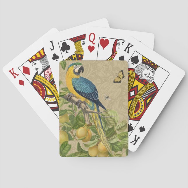 Macaw Blue Yellow Tropical Jungle Antique Poker Cards (Back)