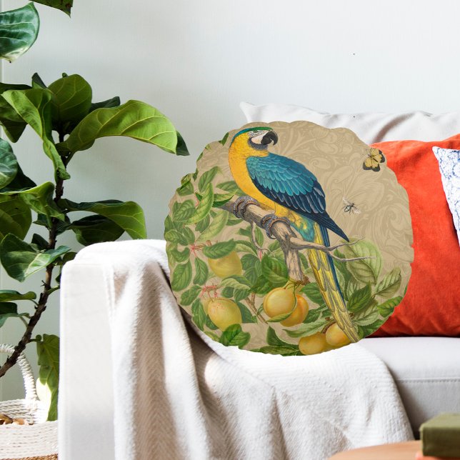 Macaw Blue Yellow Tropical Jungle Antique Round Pillow (Blue and Yellow Macaw)
