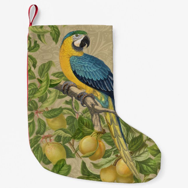 Macaw Blue Yellow Tropical Jungle Antique Small Christmas Stocking (Front)
