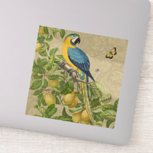 Macaw Blue Yellow Tropical Jungle Antique Sticker