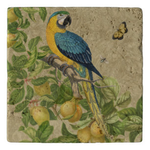 Macaw Blue Yellow Tropical Jungle Antique Trivet