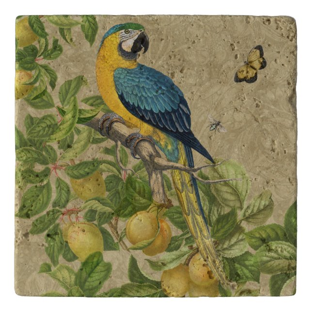 Macaw Blue Yellow Tropical Jungle Antique Trivet (Front)
