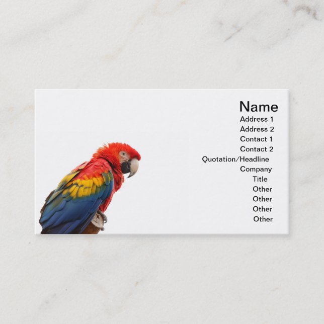 macaw business card (Front)