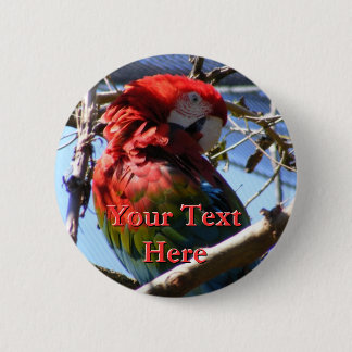 Macaw Button