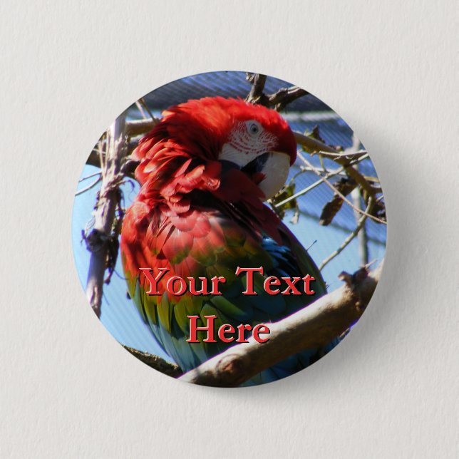 Macaw Button (Front)
