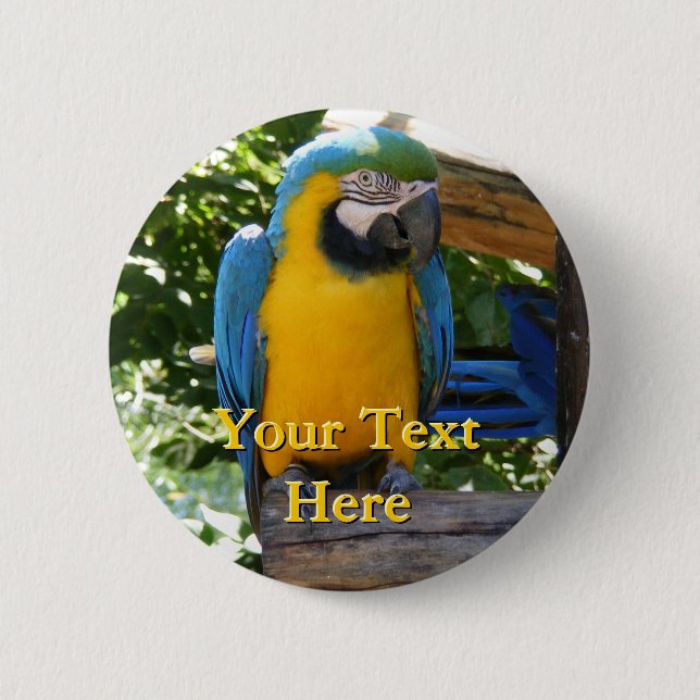 Macaw Button (Front)