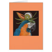 macaw card (Front)