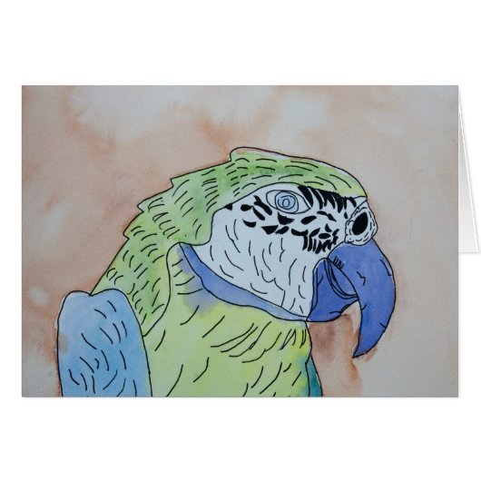 Macaw Cards (Front Horizontal)