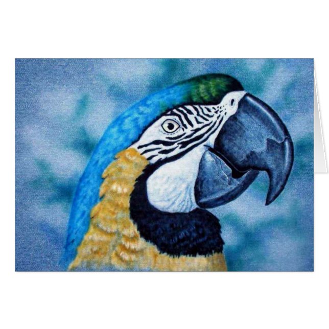 Macaw Cards (Front Horizontal)