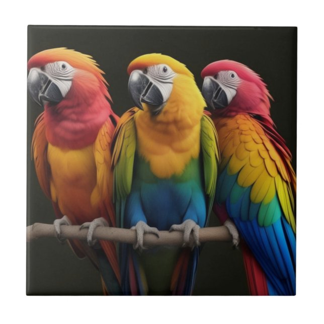 Macaw Ceramic Tile (Front)