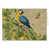 Macaw Classic Victorian Tropical Parrot and Lemon  (Front Horizontal)